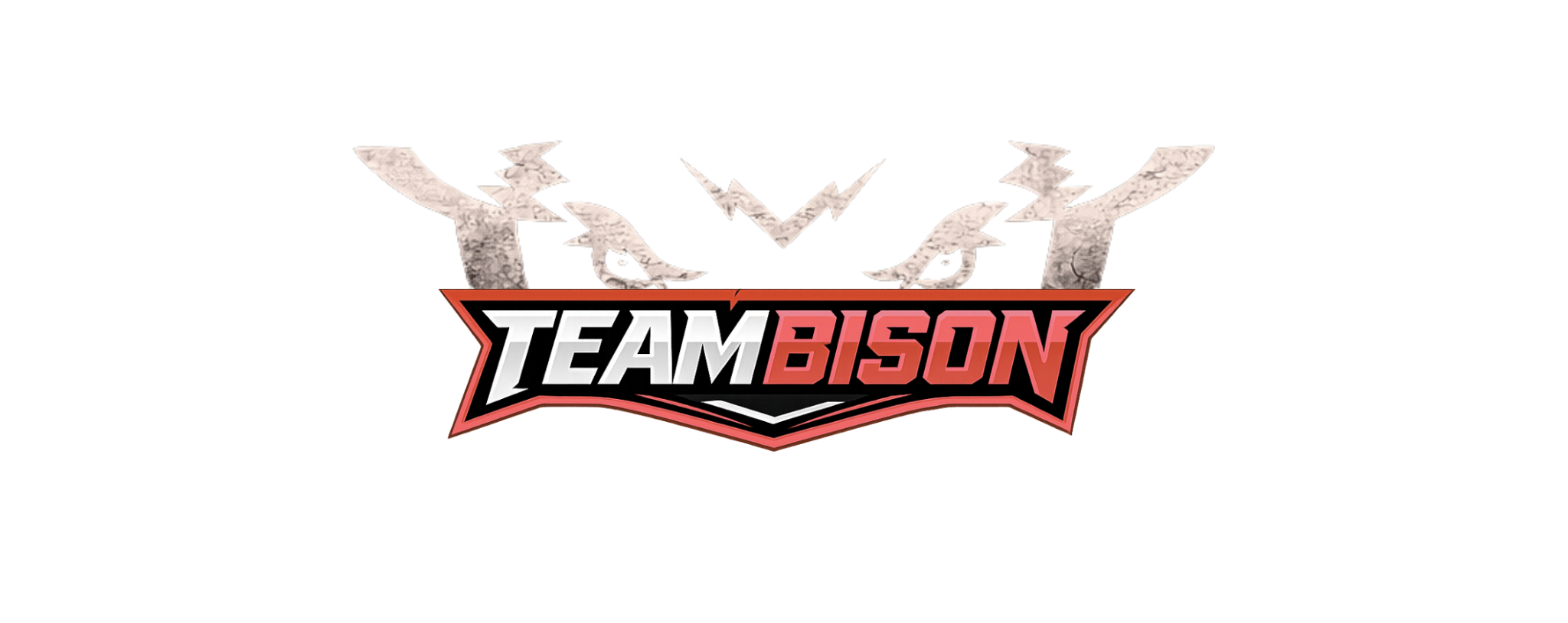 TeamBison 50-Day Fat Loss Academy