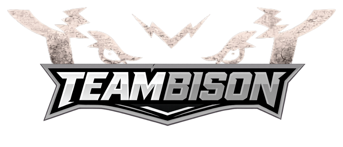TeamBison Hybrid Coaching