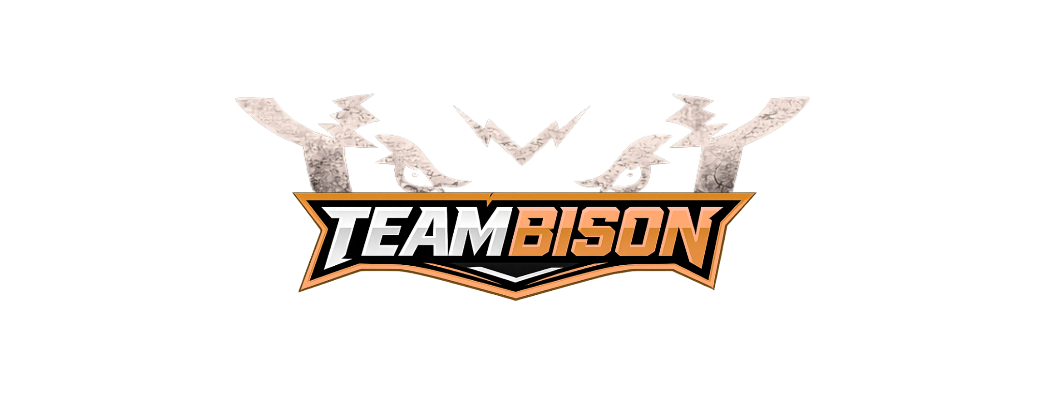 TeamBison Nutrition+