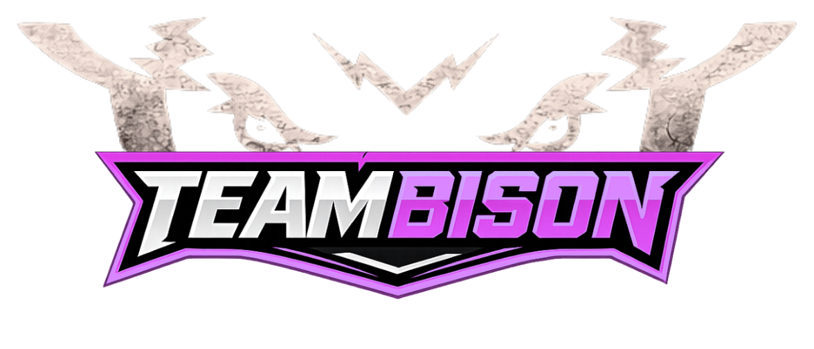 TeamBison Online Coaching