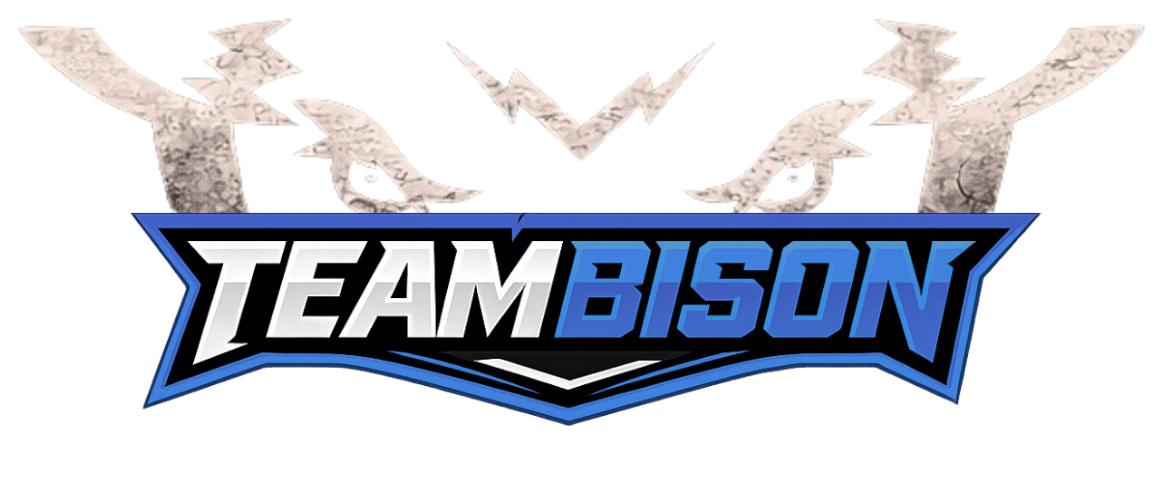 TeamBison Programming+